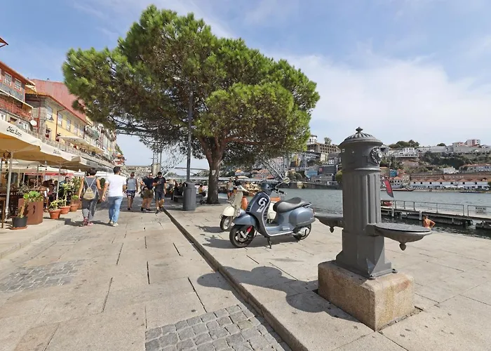 Apartment Flh Stylish *