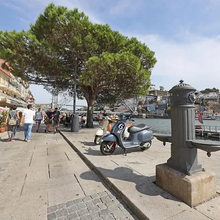 Apartment Flh Stylish *