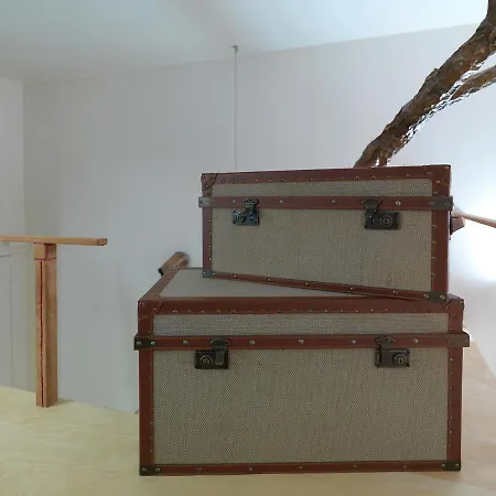 Apartment Flh Stylish